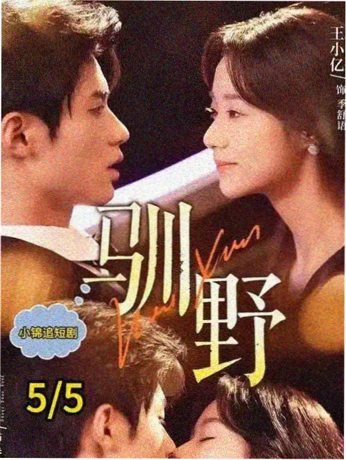 平凡之路完整免费观看